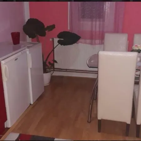 Apartment Luka Soko Banja